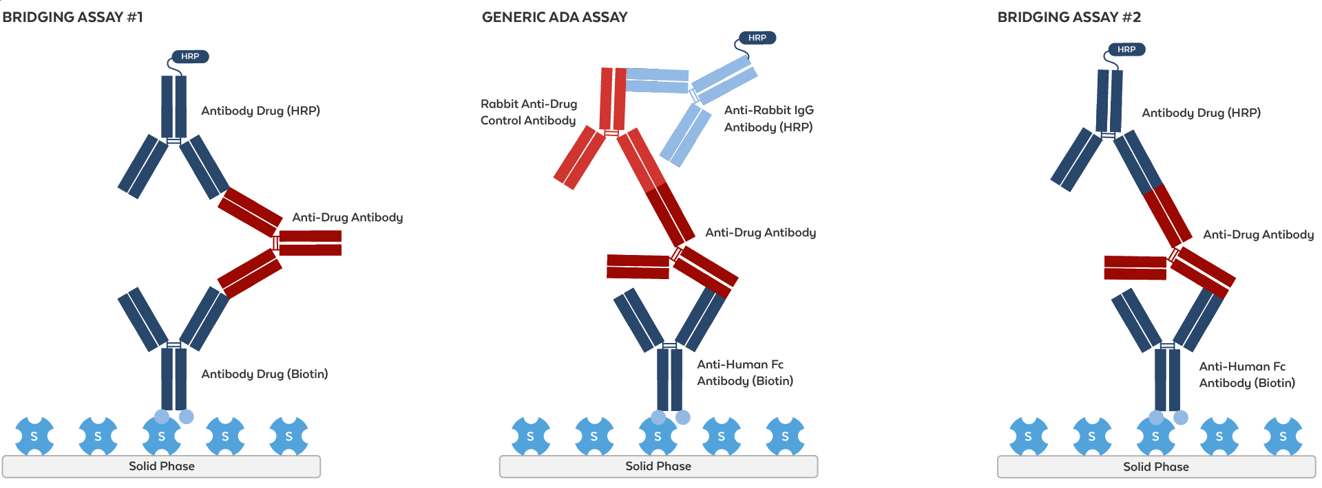 ADA Assay Formats