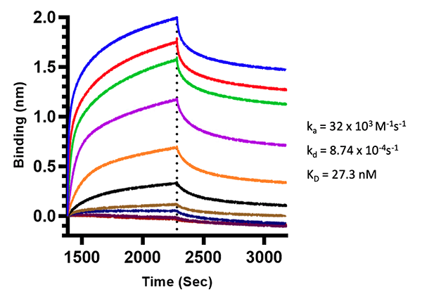 Kinetic Analysis using BLI