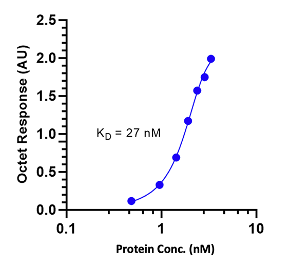 Protein Quantification using BLI