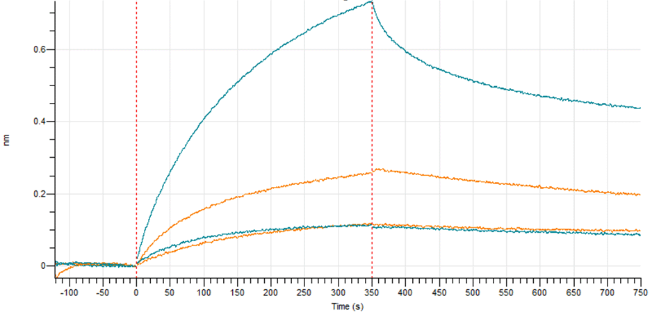 Antibody Binding Pair Evaluation using BLI