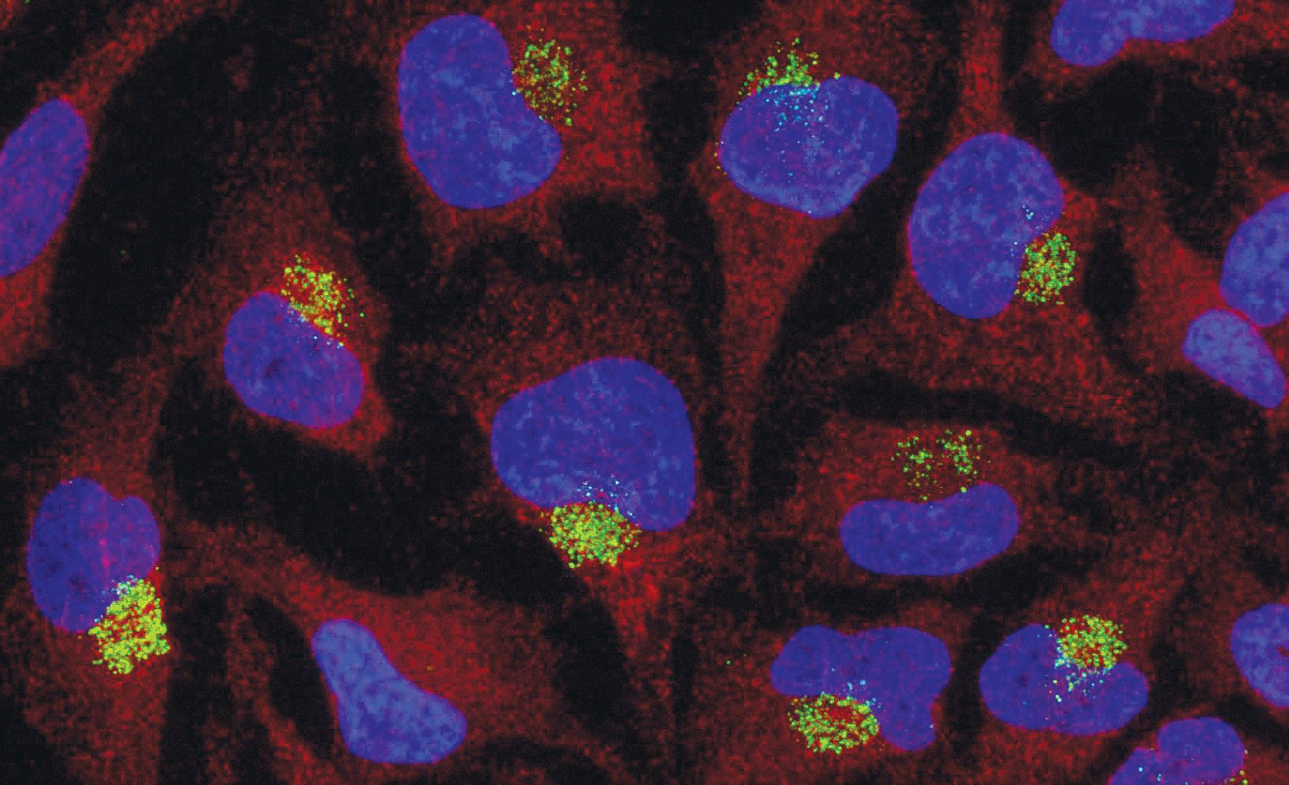 ModDetect PS04 Sensitivity in ICC