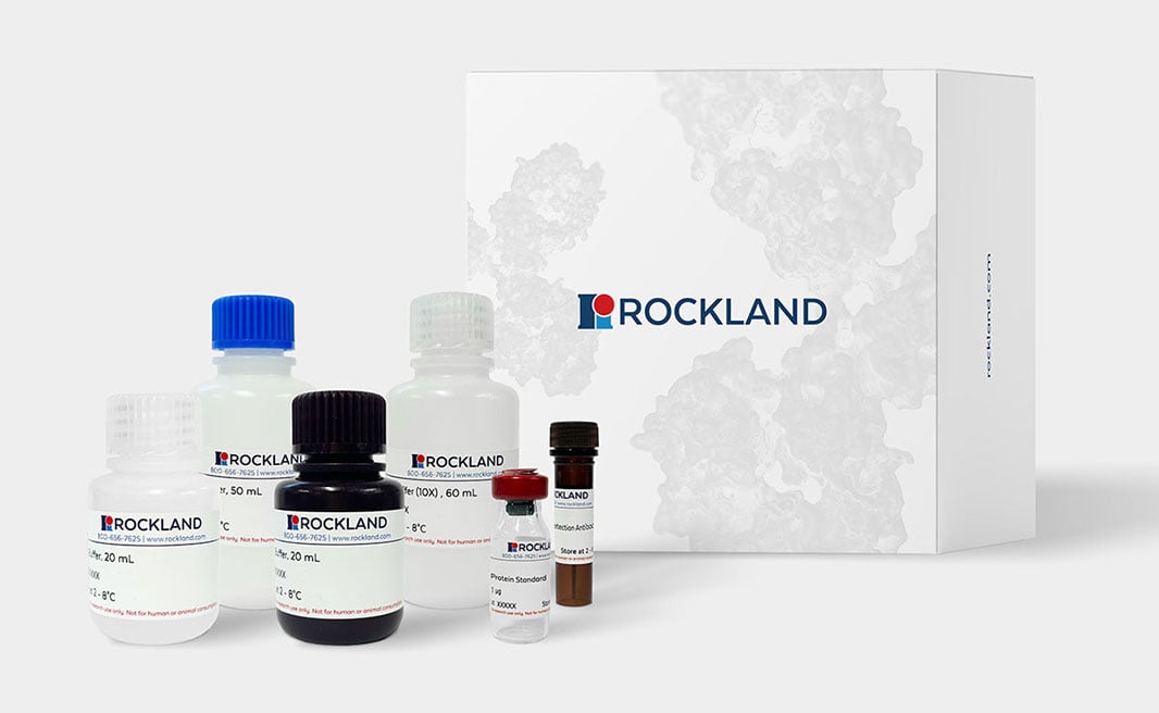 E. coli HCP ELISA Kit